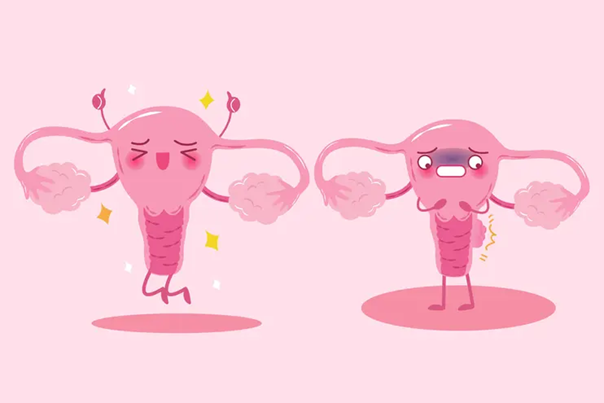 So sánh tác động của hoạt hóa mô buồng trứng hóa học so với cơ học trong sự phát triển nang noãn ở người