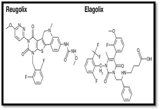 Gnrh ANTAGONIST đường uống: Một lựa chọn mới để ức chế đỉnh LH trong kích thích buồng trứng