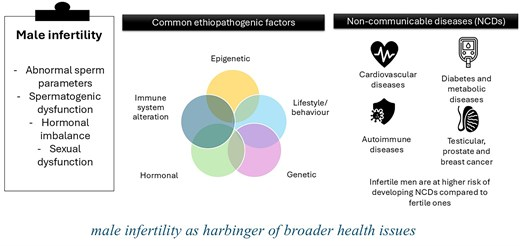  Vô sinh nam như một chỉ dấu sức khỏe: nguy cơ bệnh tật và tử vong sớm 