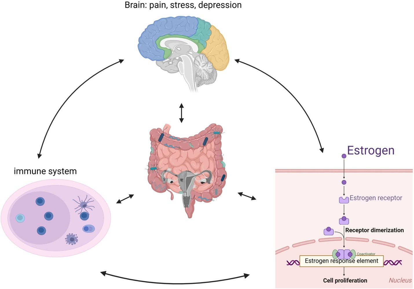 Rối loạn ăn uống ở tuổi vị thành niên  và nguy cơ lạc nội mạc tử cung