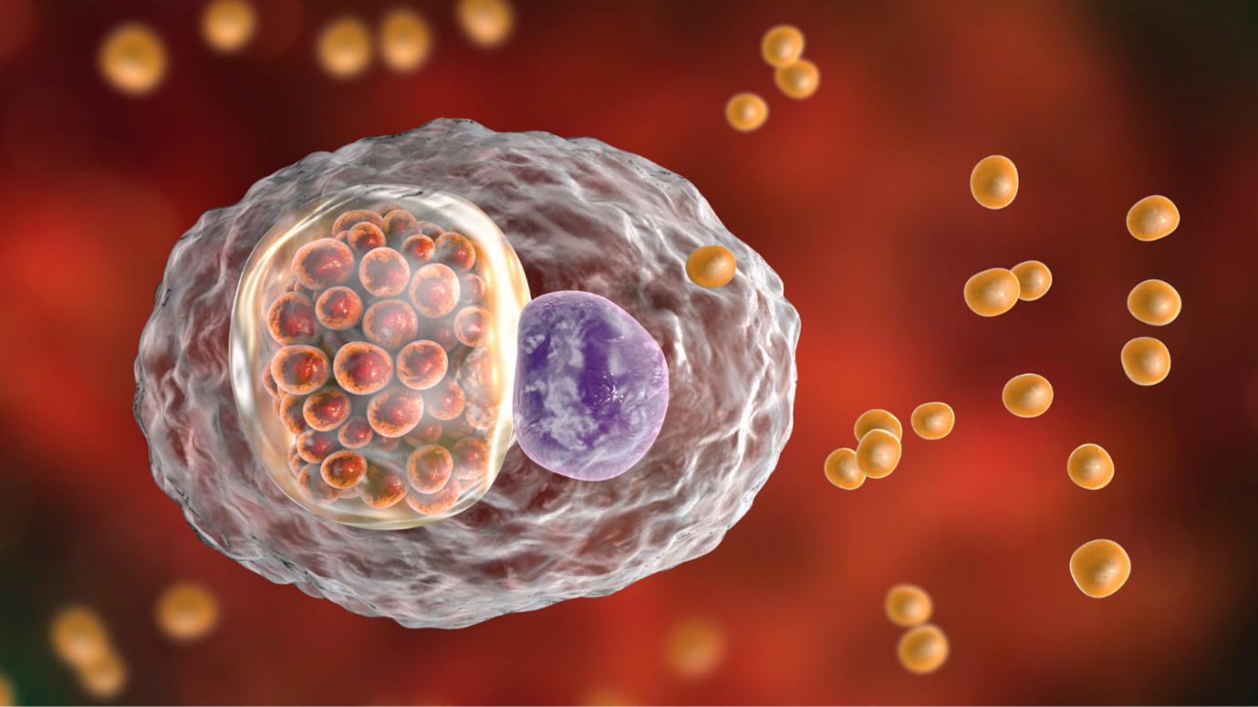 Ảnh hưởng của nhiễm chlamydia trachomatis tiềm ẩn lên kết cục làm tổ và thai lâm sàng trong ivf/icsi
