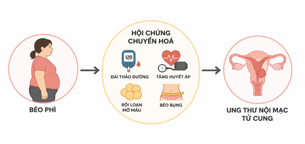 Mối liên quan giữa béo phì, hội chứng chuyển hóa và nguy cơ ung thư nội mạc tử cung